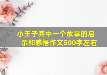 小王子其中一个故事的启示和感悟作文500字左右