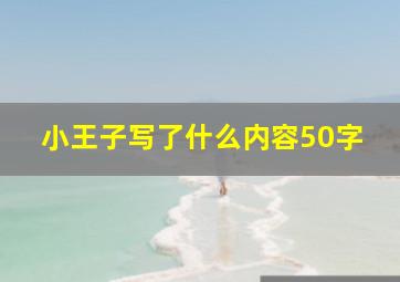 小王子写了什么内容50字