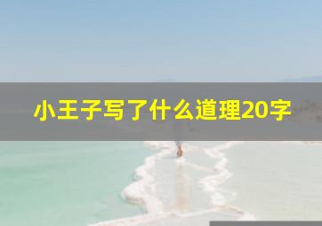 小王子写了什么道理20字