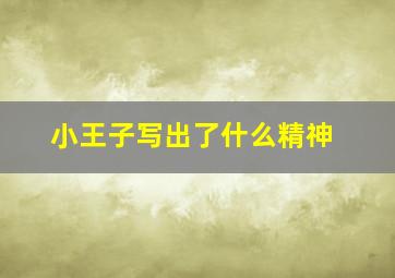 小王子写出了什么精神