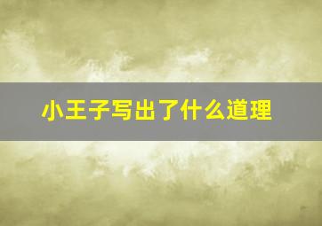 小王子写出了什么道理