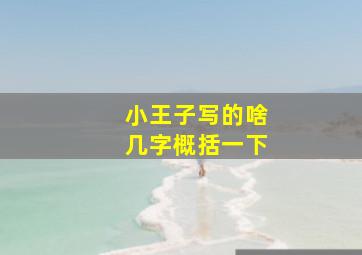 小王子写的啥几字概括一下