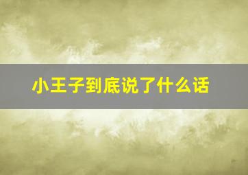 小王子到底说了什么话