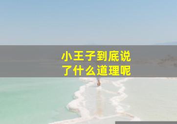 小王子到底说了什么道理呢