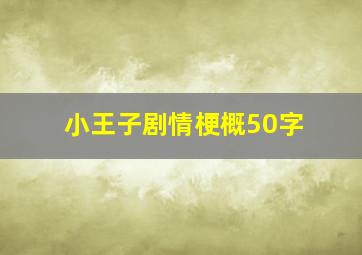 小王子剧情梗概50字