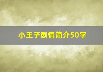 小王子剧情简介50字