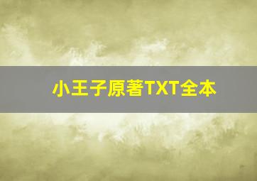 小王子原著TXT全本