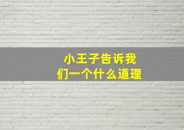 小王子告诉我们一个什么道理