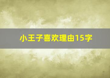 小王子喜欢理由15字