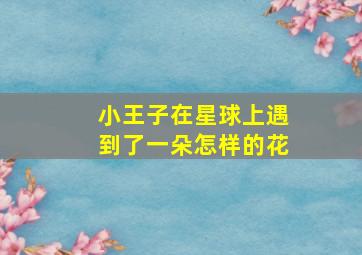 小王子在星球上遇到了一朵怎样的花