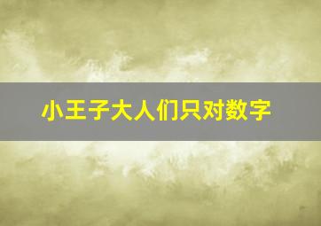 小王子大人们只对数字