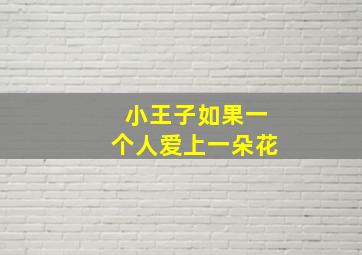 小王子如果一个人爱上一朵花