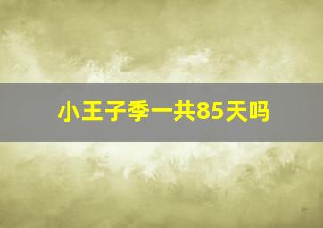 小王子季一共85天吗