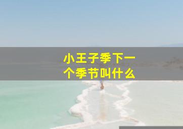 小王子季下一个季节叫什么