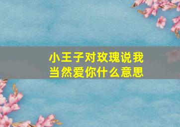 小王子对玫瑰说我当然爱你什么意思