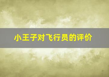 小王子对飞行员的评价