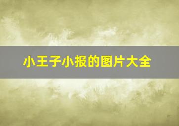 小王子小报的图片大全