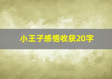 小王子感悟收获20字