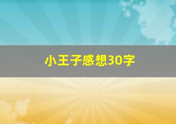 小王子感想30字