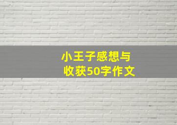 小王子感想与收获50字作文