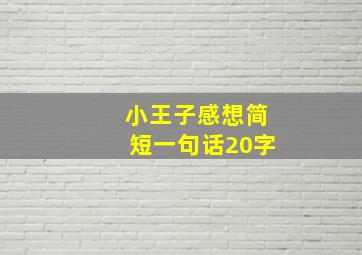 小王子感想简短一句话20字