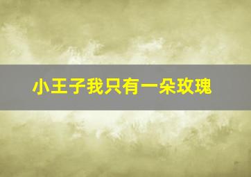 小王子我只有一朵玫瑰