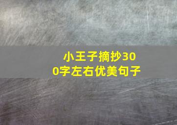 小王子摘抄300字左右优美句子