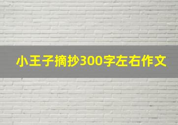 小王子摘抄300字左右作文