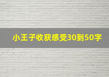 小王子收获感受30到50字