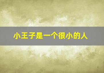 小王子是一个很小的人