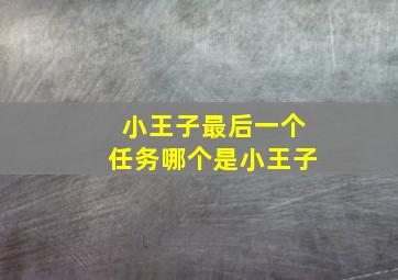 小王子最后一个任务哪个是小王子