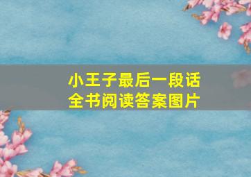 小王子最后一段话全书阅读答案图片