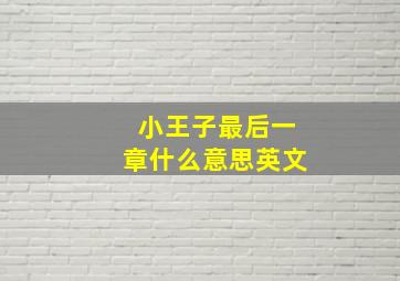 小王子最后一章什么意思英文