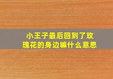 小王子最后回到了玫瑰花的身边嘛什么意思