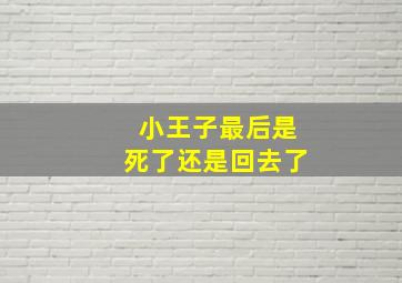 小王子最后是死了还是回去了