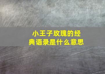 小王子玫瑰的经典语录是什么意思