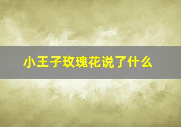 小王子玫瑰花说了什么