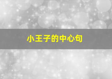 小王子的中心句