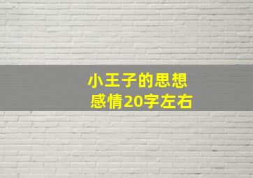 小王子的思想感情20字左右