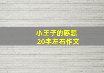 小王子的感想20字左右作文