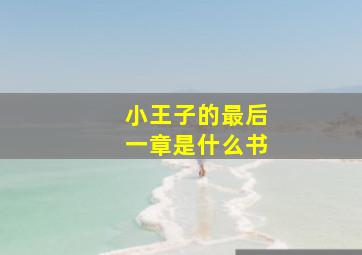 小王子的最后一章是什么书