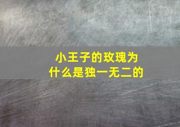 小王子的玫瑰为什么是独一无二的