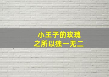 小王子的玫瑰之所以独一无二