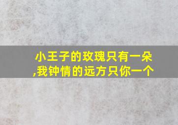 小王子的玫瑰只有一朵,我钟情的远方只你一个