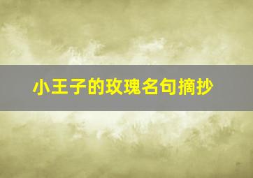 小王子的玫瑰名句摘抄