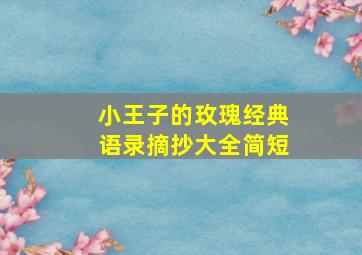 小王子的玫瑰经典语录摘抄大全简短