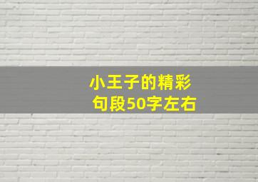 小王子的精彩句段50字左右