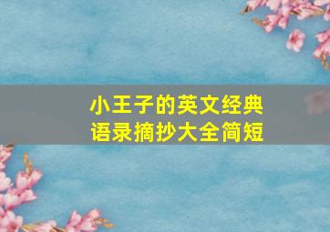 小王子的英文经典语录摘抄大全简短