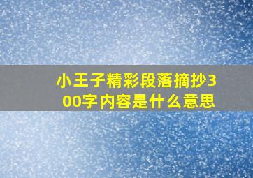 小王子精彩段落摘抄300字内容是什么意思