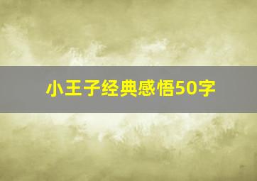 小王子经典感悟50字